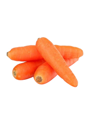 Casinetto Carrots Italy