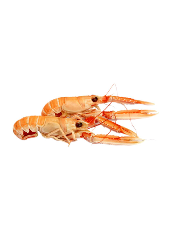 

Macduff Frozen Langoustine, 21-30 Piece, 1Kg