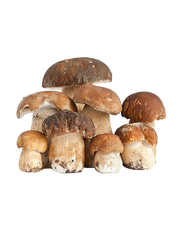 Casinetto Frozen Porcini Mushrooms Whole, 1kg