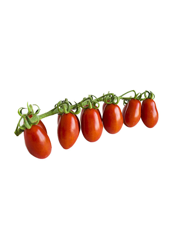 

Casinetto Piccadilly Tomatoes Italy