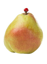 Casinetto Decana Pear Italy