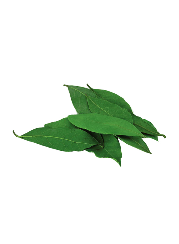 Casinetto Bay Leaf Italy, 20g