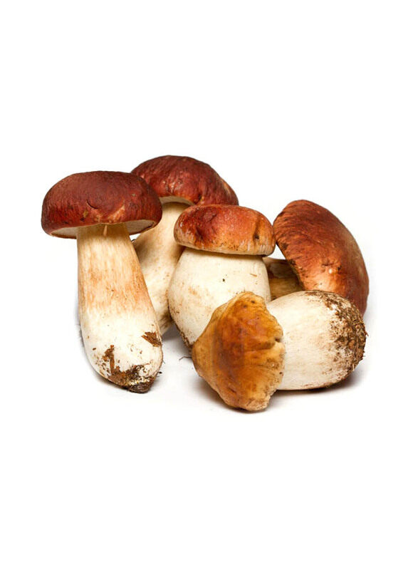 

Generic Mushroom Porcini Fresh Italy, 250g