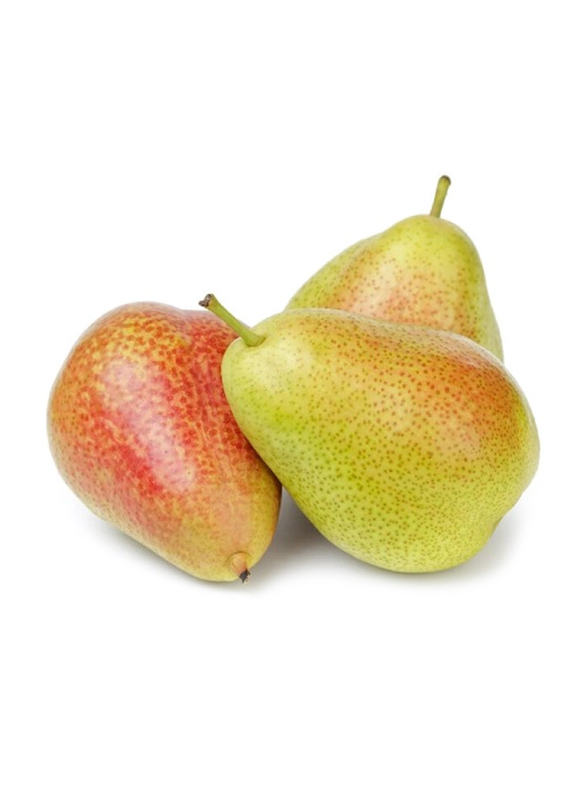Casinetto Forelle Pears South Africa