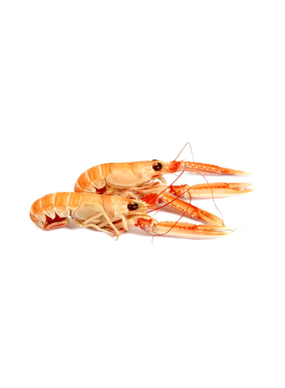 

Laeso Choice Langoustine From Denmark Frozen, 21 to 30 Pcs, 800g