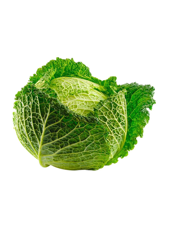 

Casinetto Savoy Cabbage Italy