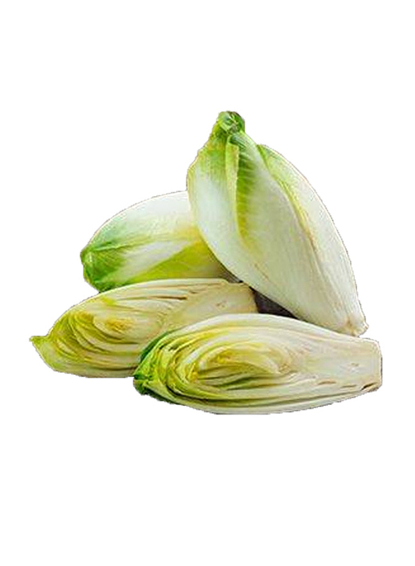 Casinetto White Chicory Belgian Endive Holland