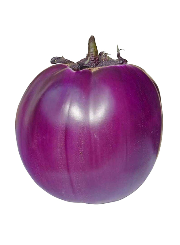 Casinetto Violet Eggplant Italy