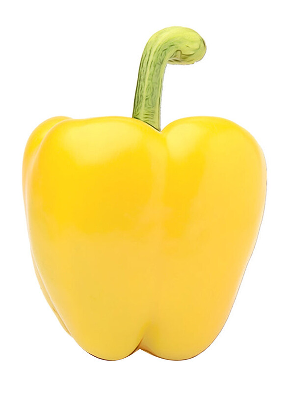 

Casinetto Yellow Capsicum Oman