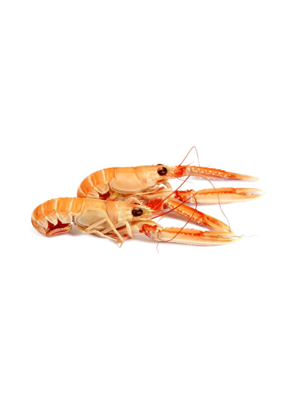 

Laeso Choice Langoustine From Denmark Frozen, 17 to 20 Pcs, 800g