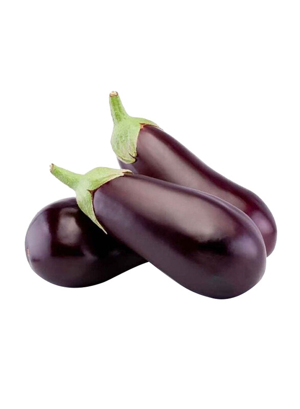 

Casinetto Long Eggplant Holland