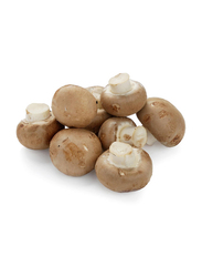 Casinetto Brown Mushroom Oman, 250g