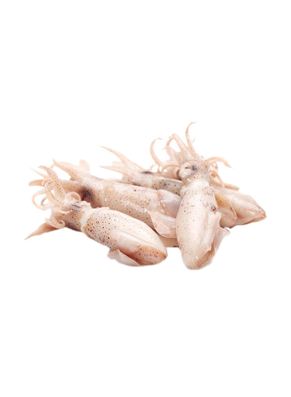 

Casinetto Frozen Baby Squid, 80 Pieces, 500g