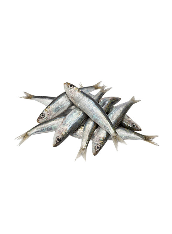

Casinetto Whole Anchovies, 35 Pieces, 500g