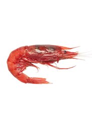 Rosso DI Mazara Red Shrimp, 20 Pieces, 900g