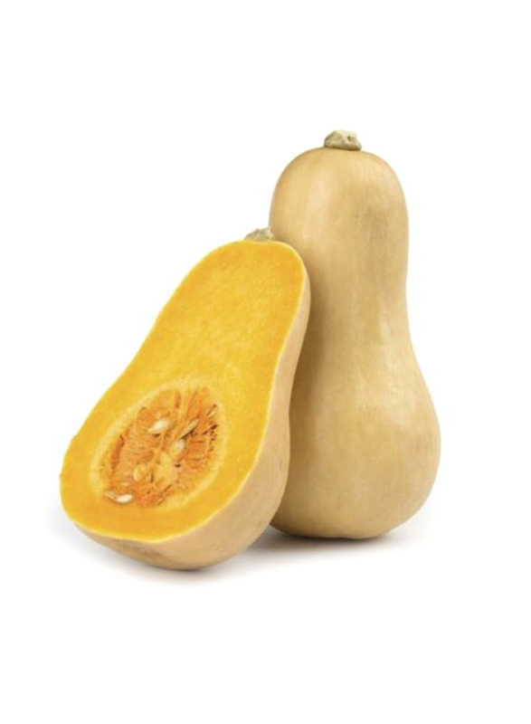 

Casinetto Butternut Pumpkin Italy, 2.5 Kg