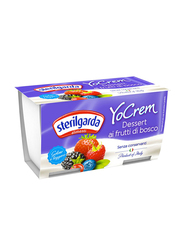 Sterilgarda Yocrem Wild Berries Yogurt, 2 x 100g