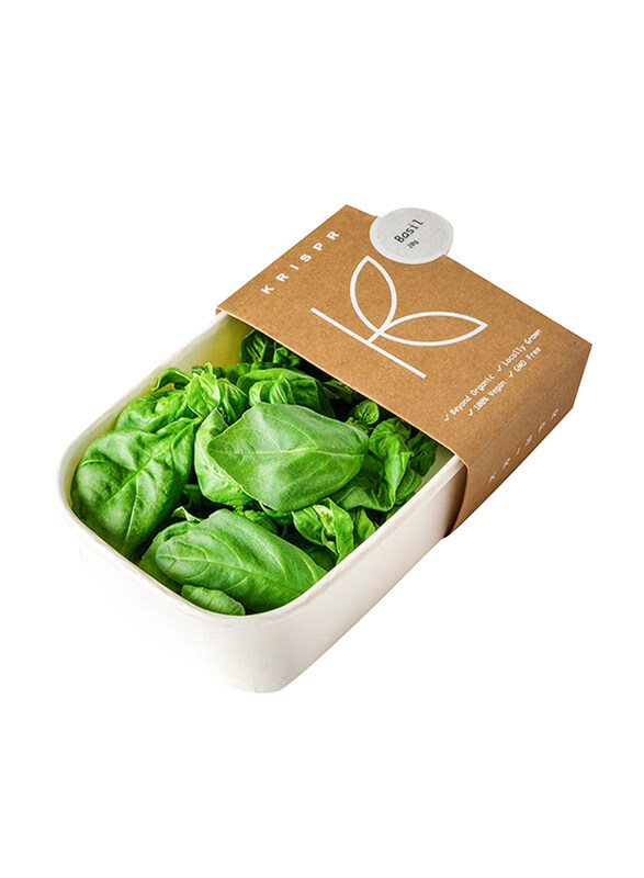 

Casinetto Krispr Basil Genovese UAE, 20g