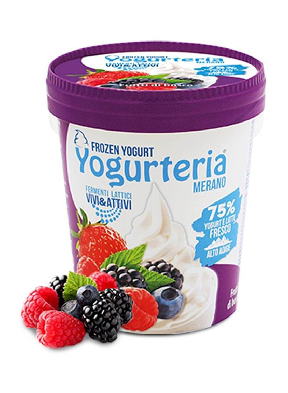 Alpeker Wild Berries Lactose Free Frozen Yogurt, 500ml