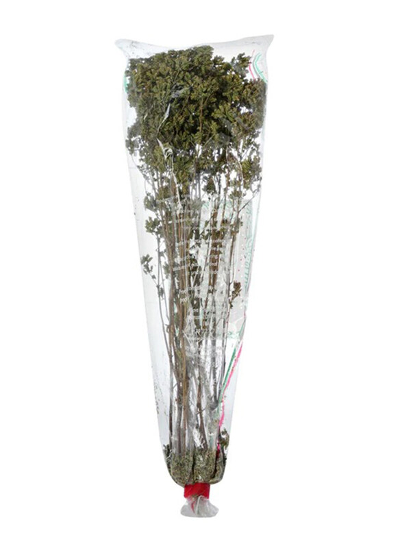 

Ispica Dried Oregano, 40g