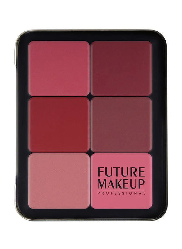 Future Makeup Blush Powder Palette, FU104, Multicolour