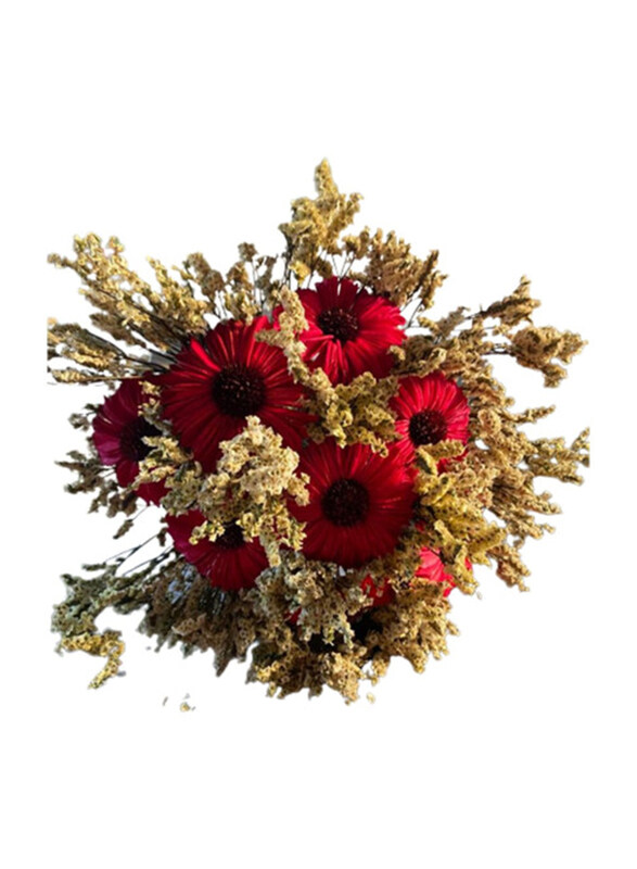 

Eco Flowers Daisy Flowers Bouquet, Red