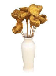 Eco Flowers 6-Piece Dried Almond Vase Flower Filler, Gold