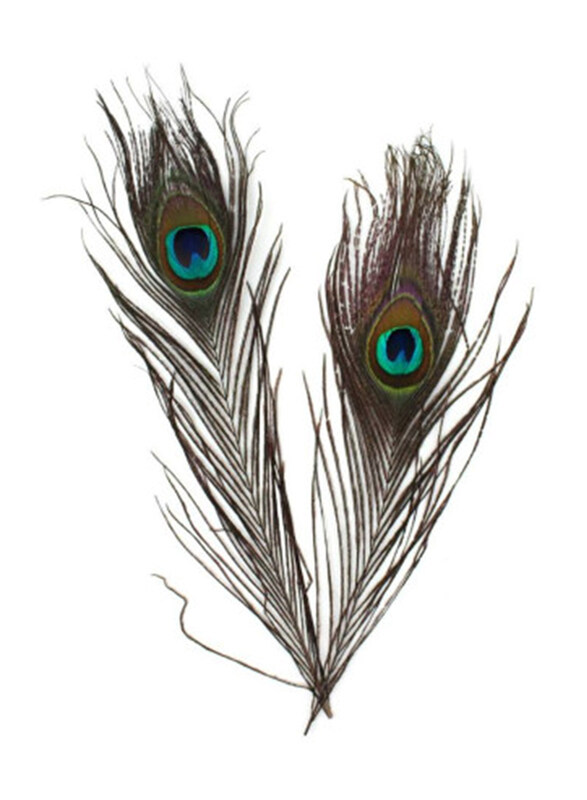 

Mindset Peacock Tail Feather, 2 Pieces, Multicolour
