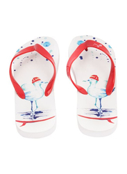 BiggDesign Anemoss Sailor Seagull Flip Flop Unisex, 44-45, Multicolour