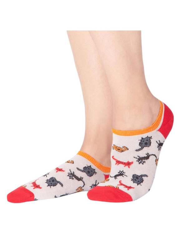 BiggDesign Low Cut Ankle Socks for Women, 3 Pieces, Multicolour
