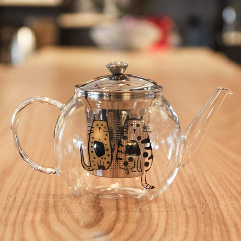 Biggdesign 600ml Glass Tea Pot with Stainless Steel Strainer, Clear