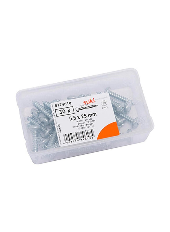 

Suki 5.5 x 25mm 30-Piece Tapping Screws, Silver