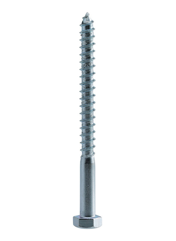 

Suki 10cm Hexagonal Wood Screws, Silver