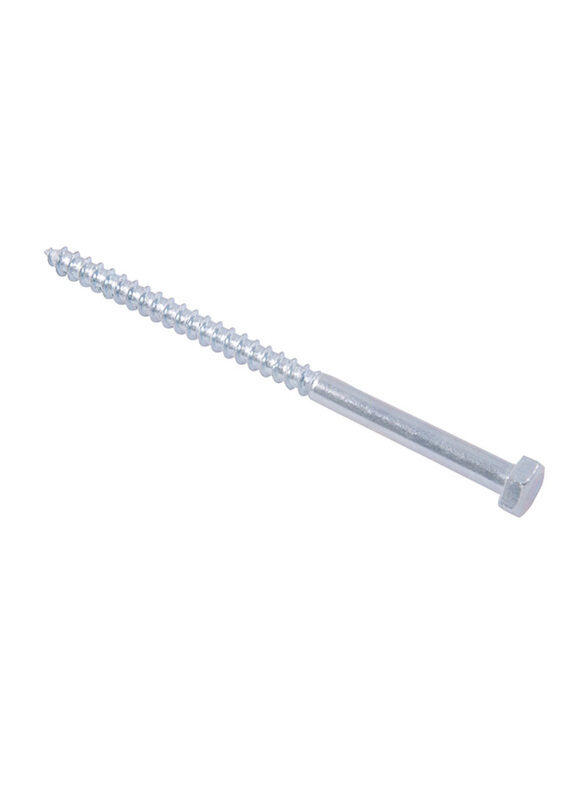 

Suki 6 x 100mm 4-Piece Hexagonal Wood Screws, Silver