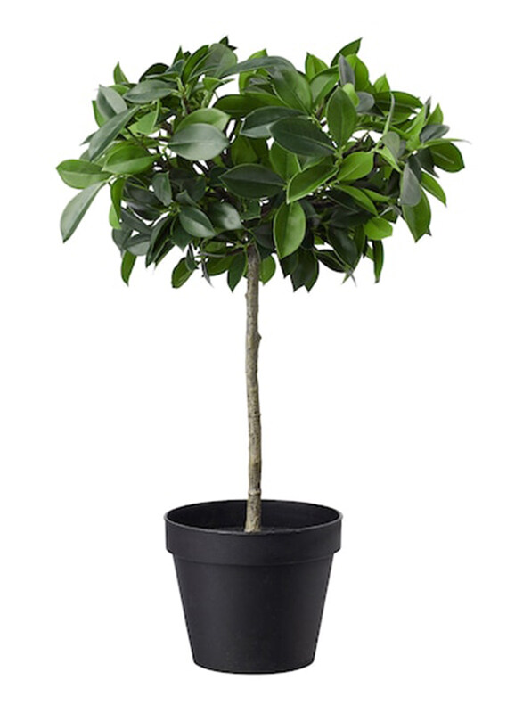 

Fejka 12cm Weeping Fig Stem Indoor/Outdoor Artificial Potted Plant, Green