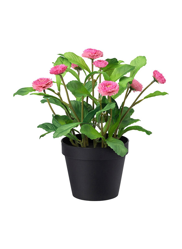 

Fejka Common Daisy Indoor & Outdoor Artificial Potted Plant, 12cm, Green/Pink