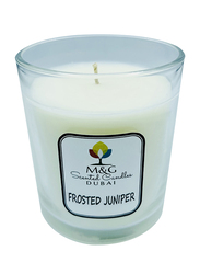 M&G Frosted Juniper Soy Wax Scented Candle, 200g, White