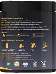 OSOAA Power Up Pre-Workout Supplement (400gm, Fruit Punch) Essential Minerals & L-Arginine for Lean Muscles, Strength & Energy Boost