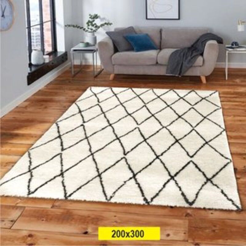 Polyester Over Tufted Rug 200X300cm