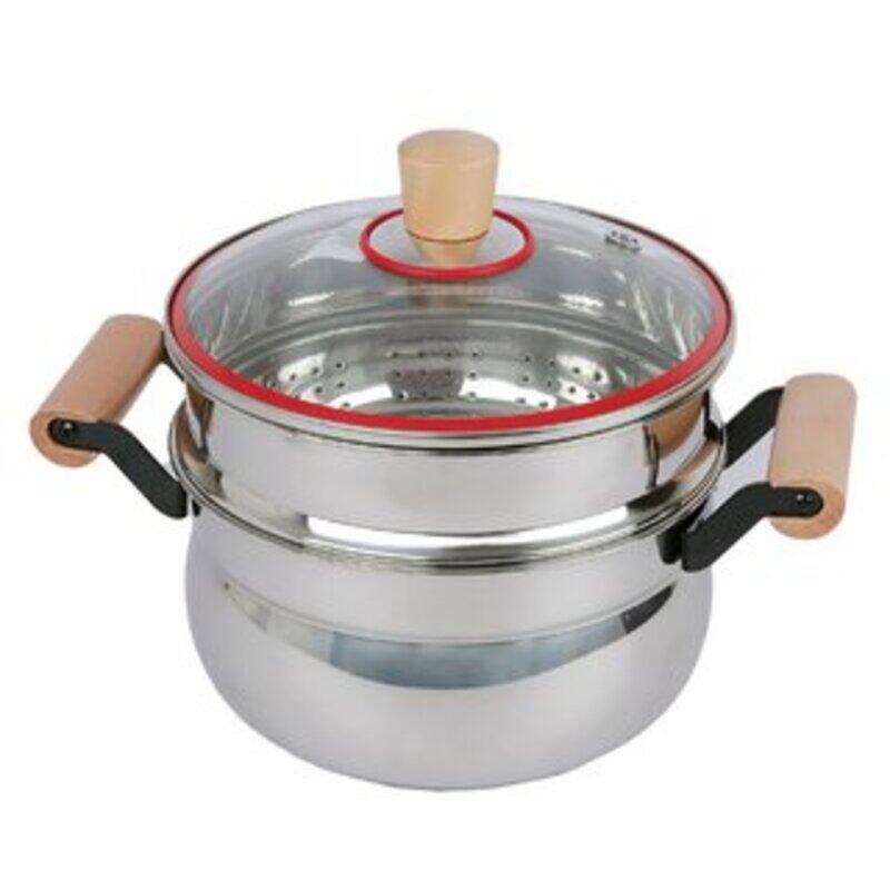 

Generic 2 LAYER STEAMER
