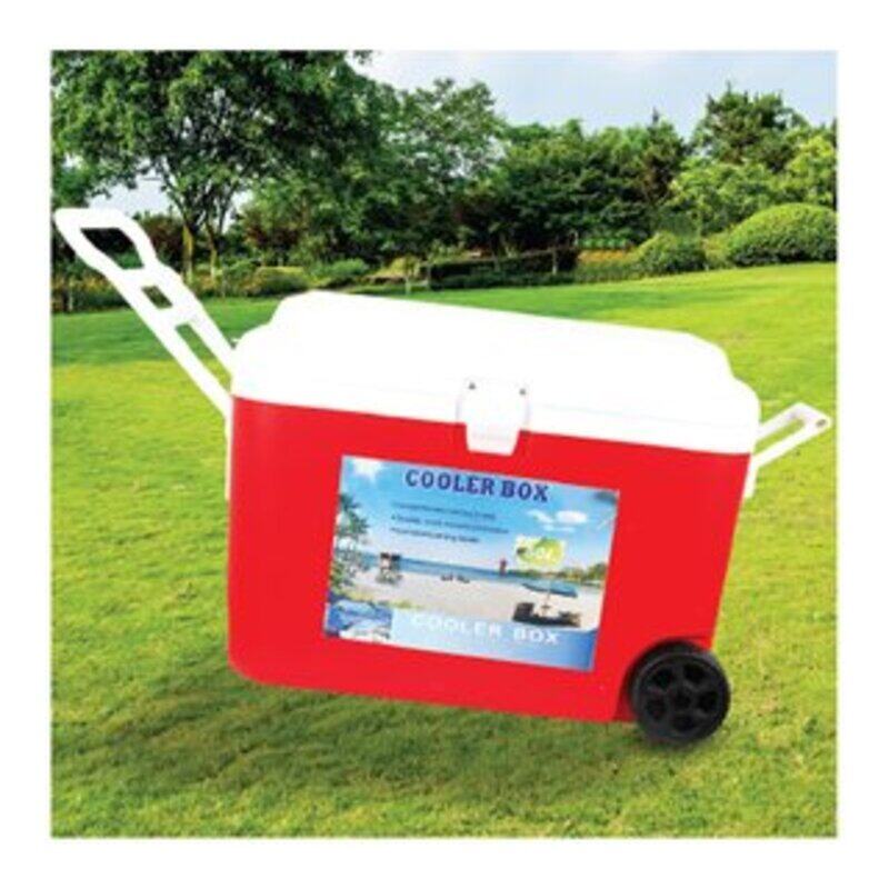 

Generic Cooler 35817, Box 50Ltr