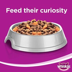 Whiskas Chicken Cat Dry Food, 480g