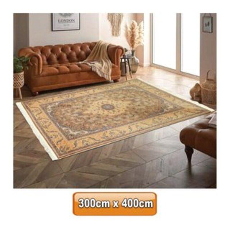 

Genric Harir Modal Silk Carpet 300cm x 400cm