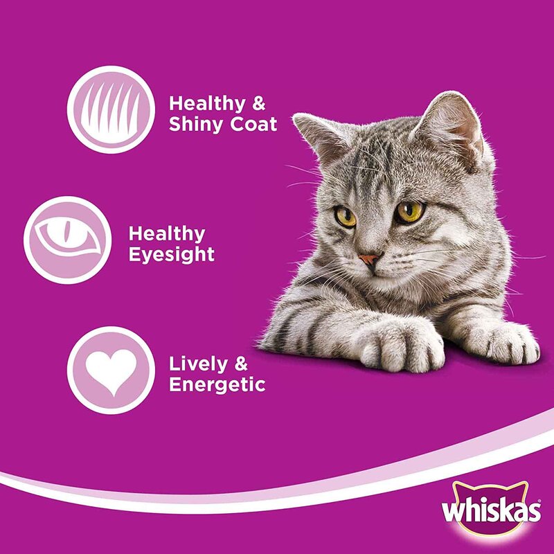 Whiskas Chicken Cat Dry Food, 480g