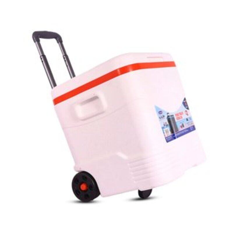 

Cosmoplast MFIBXX122, Picnic 30 Ltr, Icebox Trolly