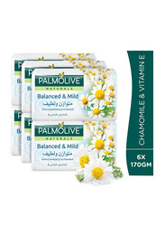 Palmolive Balanced and Mild Soap Bar, 6 Pieces, 170gm