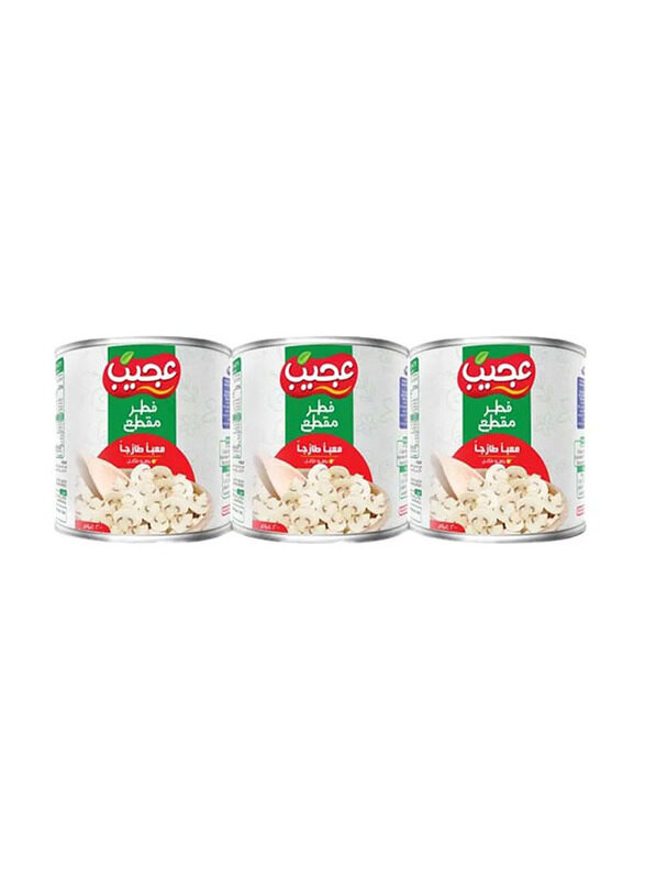 

Ajeeb Canned Mushrooms Pieces & Stems, 3 x 200g