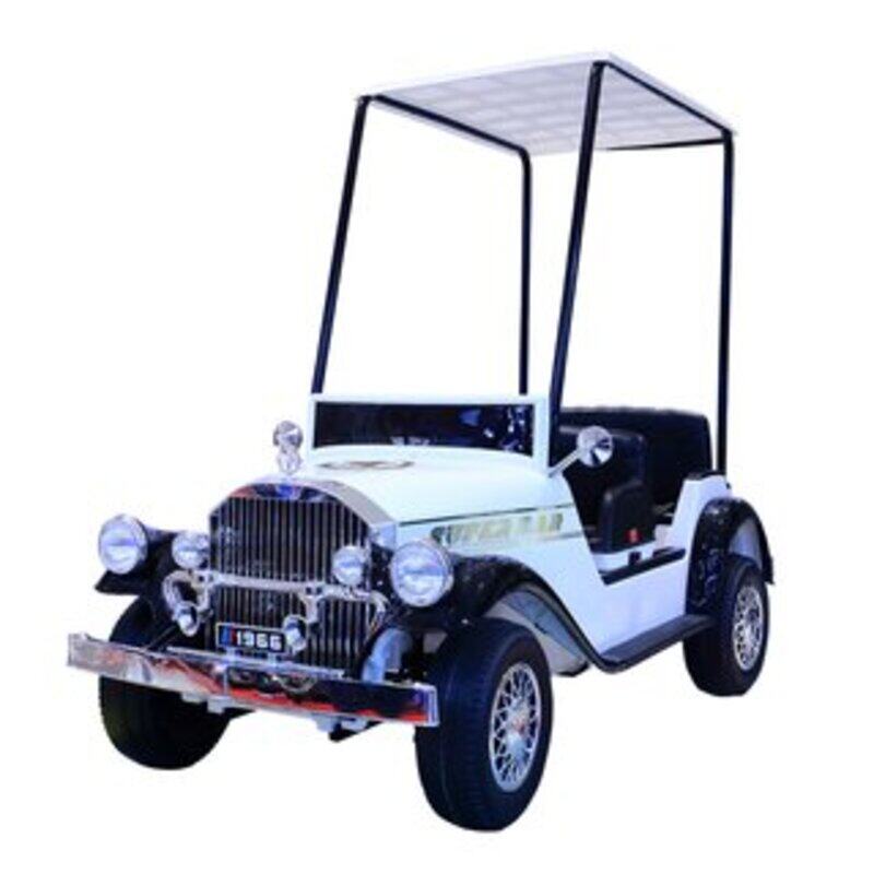 

Generic Motor 19558-JM-2189 , Car