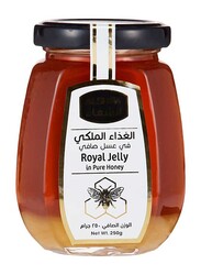 Al Shifa Royal Jelly Pure Honey, 250g