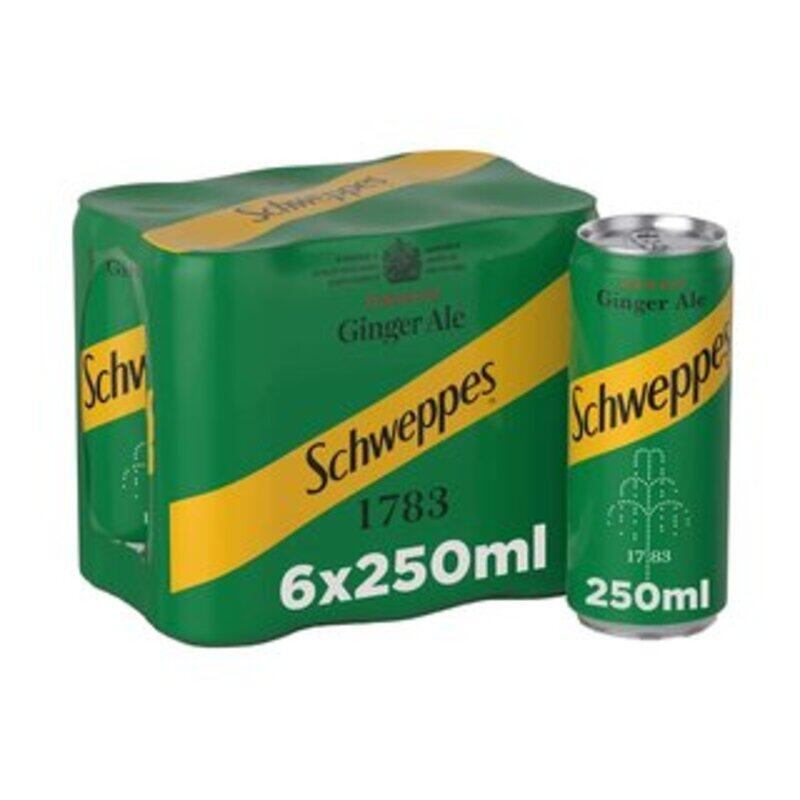 

SCHWEPPES GINGER ALE 6 X 250ML